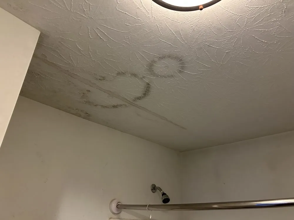 Slide of Will it Done Maintenance