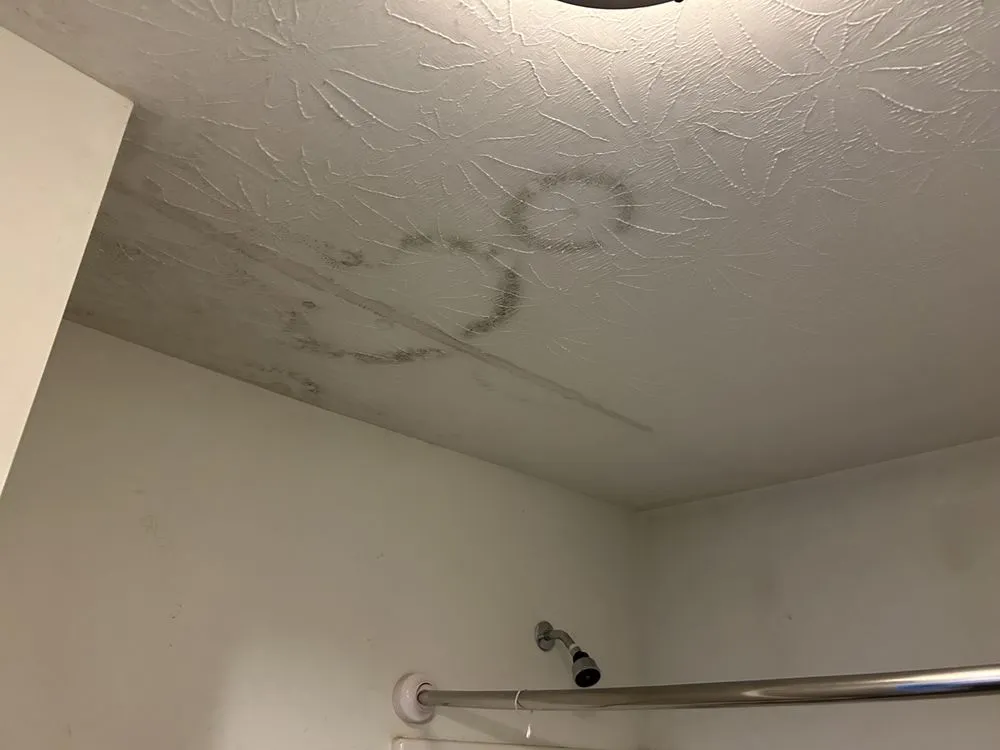 Slide of Will it Done Maintenance