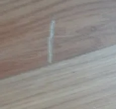 Slide of Williams & Son Heating