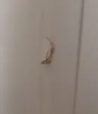 Slide of Williams & Son Heating