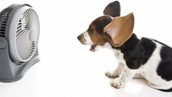 Williams A/C & Heating Logo