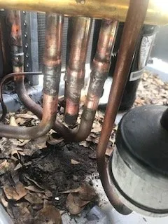 Slide of Wilson Crew Heating And Cooling