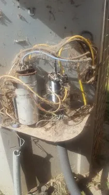 Wilson Heating and Air