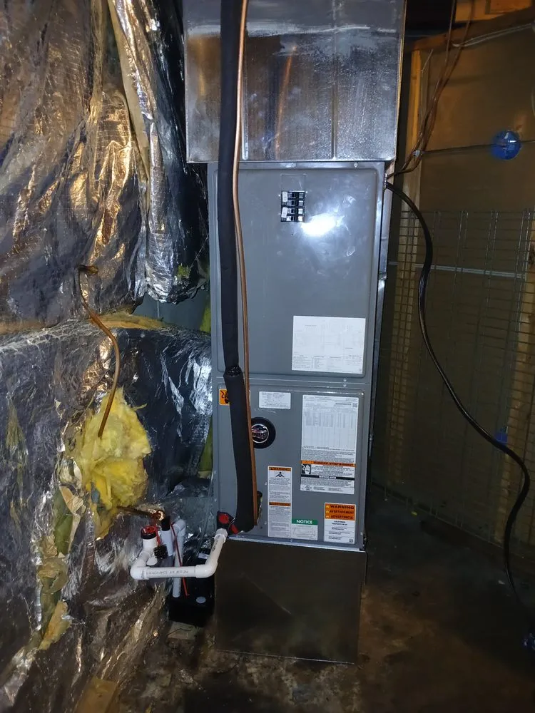 Slide of Wilson's Complete Package