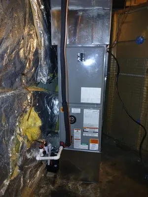 Wilson's Complete Package Logo