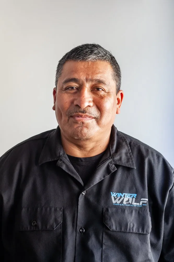 Slide of Winter Wolf Tech