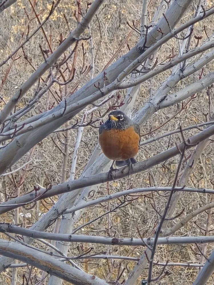 Slide of Winterrowd Heating & AC