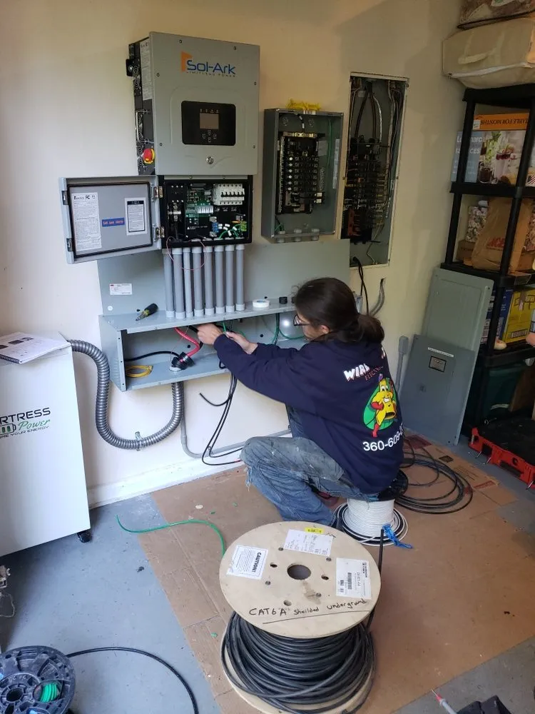 Slide of Wire Nutz Electric