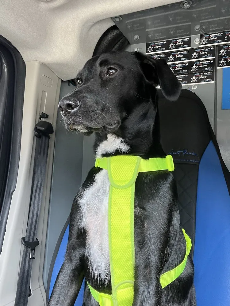 Slide of Wise Mechanical Solutions