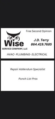 Wise Service Logo
