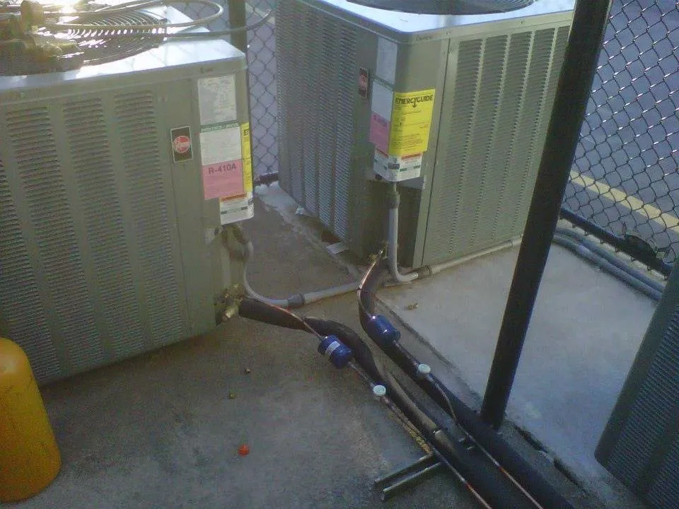 Slide of Wolf Consultation Services