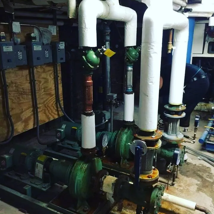 Slide of Wolf Consultation Services