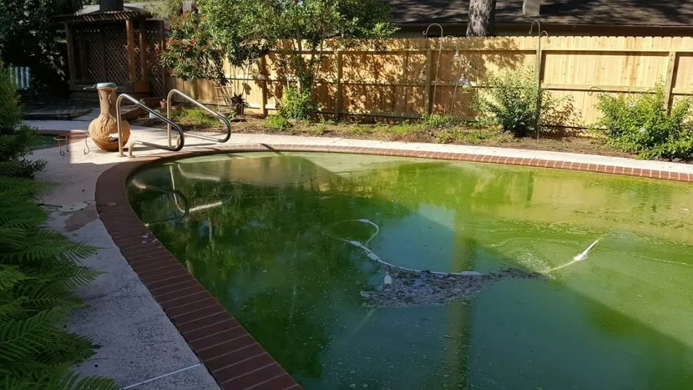 Slide of Woodlands Repair Group