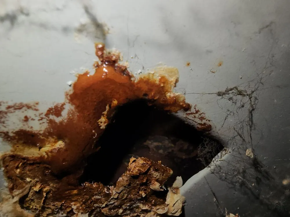 Slide of Woody's Sudden Service