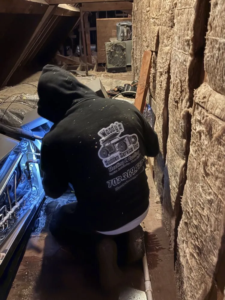 Slide of Woody's Sudden Service