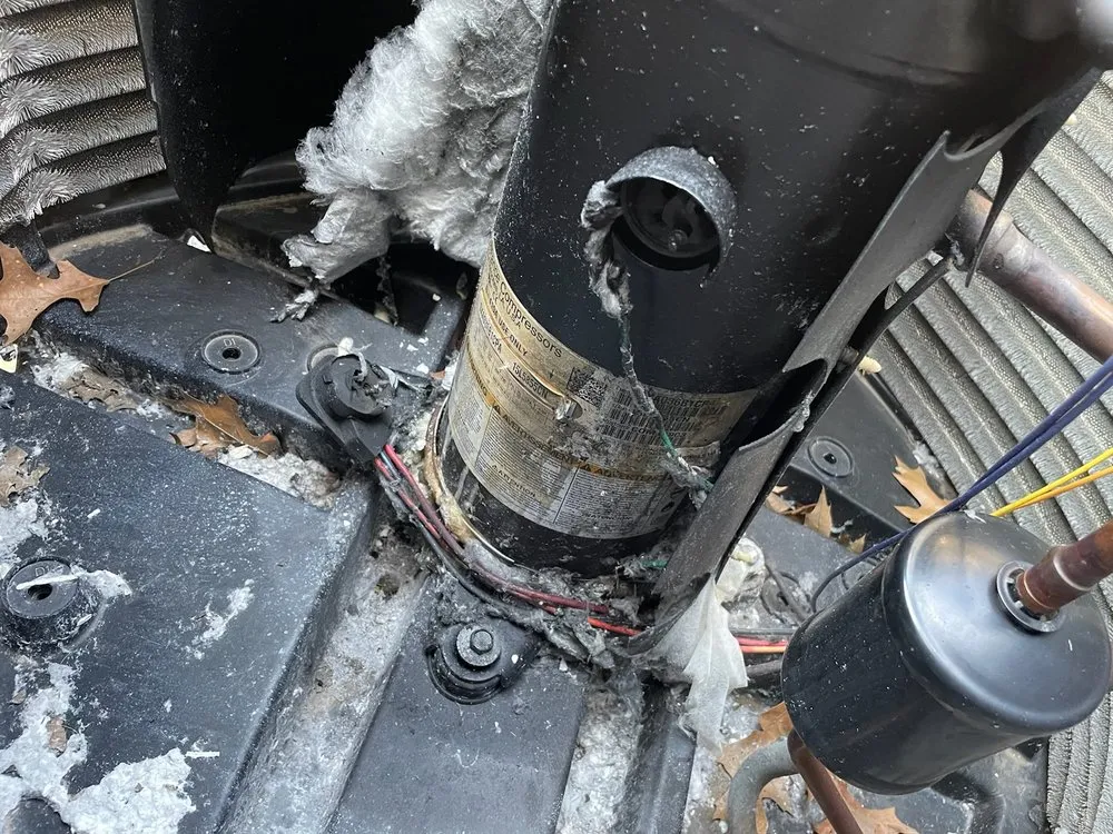 Slide of Woody's Sudden Service