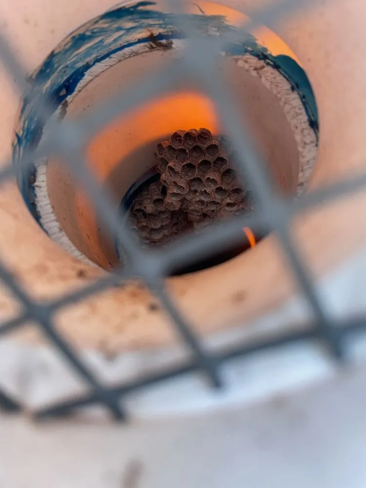 Slide of Woody's Sudden Service