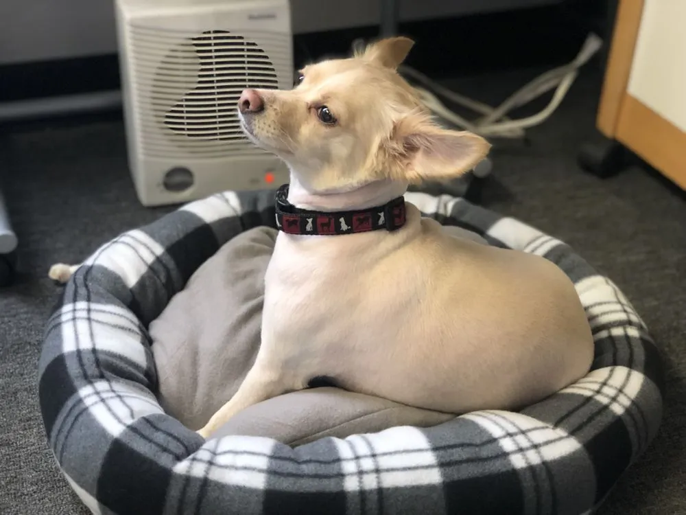 Slide of Woolf Mechanical