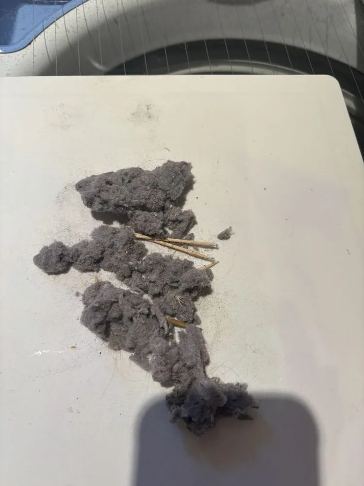 Slide of World Appliances