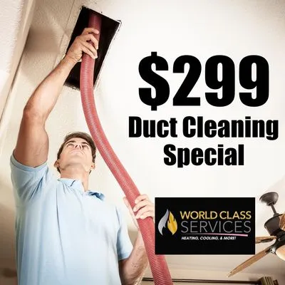 World Class Services Logo