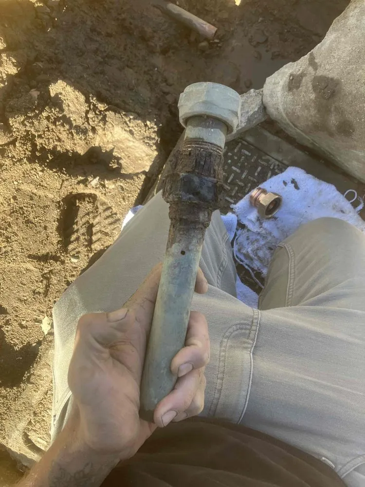 Slide of Wow Services