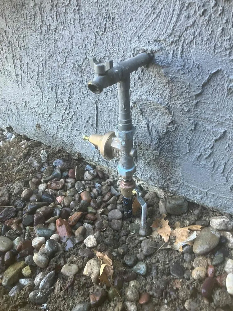 Slide of Wow Services