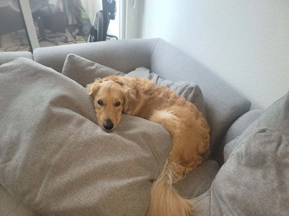 Slide of Wright's Heating and Air Conditioning