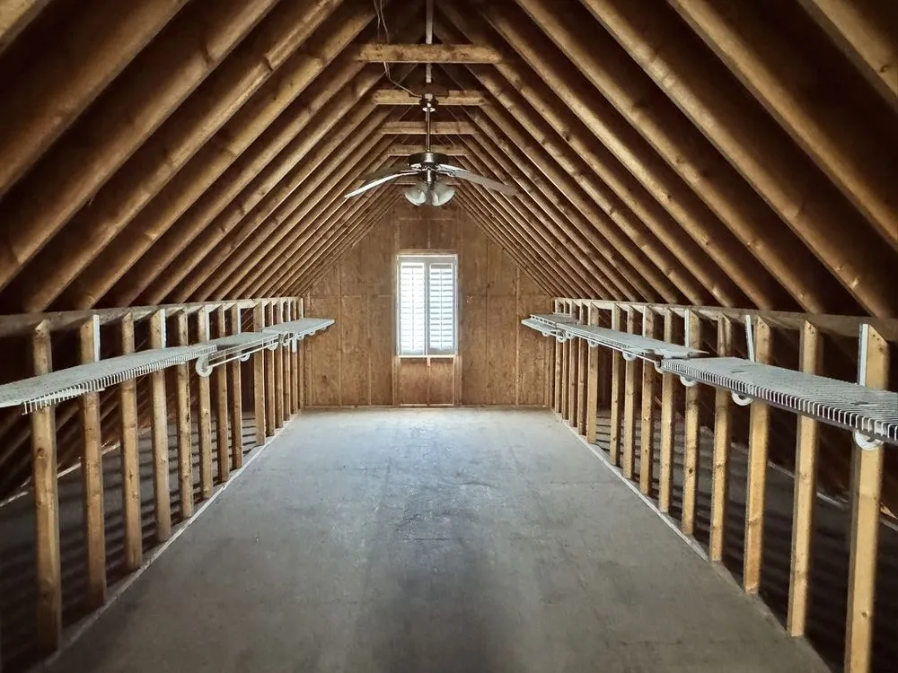 Slide of WS Reconstruction