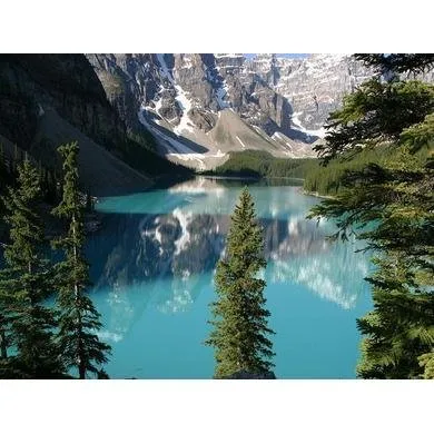 Slide of www.airpurificationservices.com