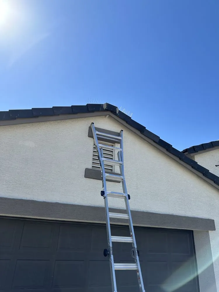 Slide of Xavi’s Handyman Services