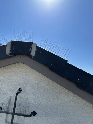 Xavi’s Handyman Services Logo