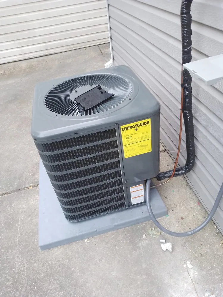 Slide of Year Long Clima