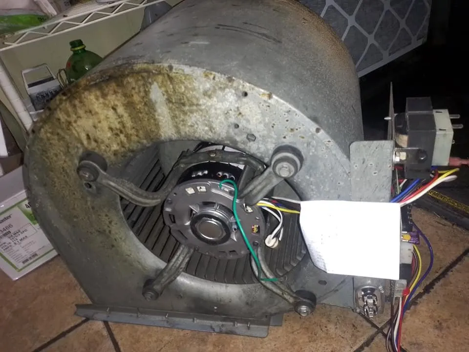 Slide of Year Long Clima