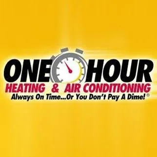 Slide of Yellow Bird Services