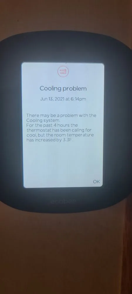 Slide of Yellow Bird Services