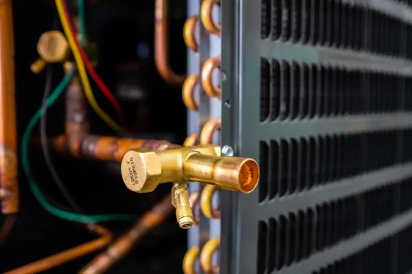 Yellow Bird Services