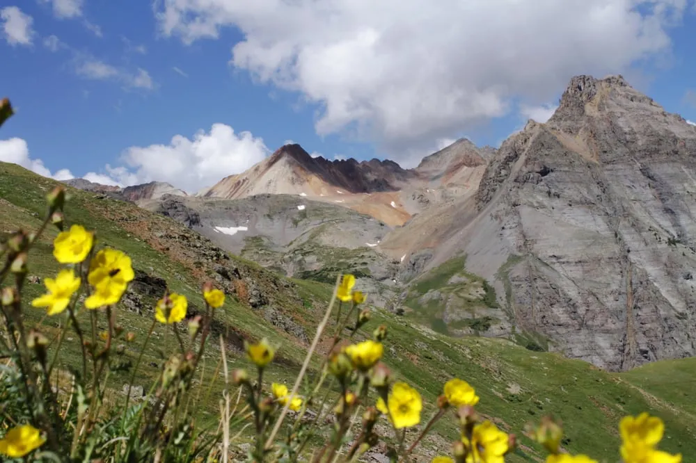 Slide of Young Services