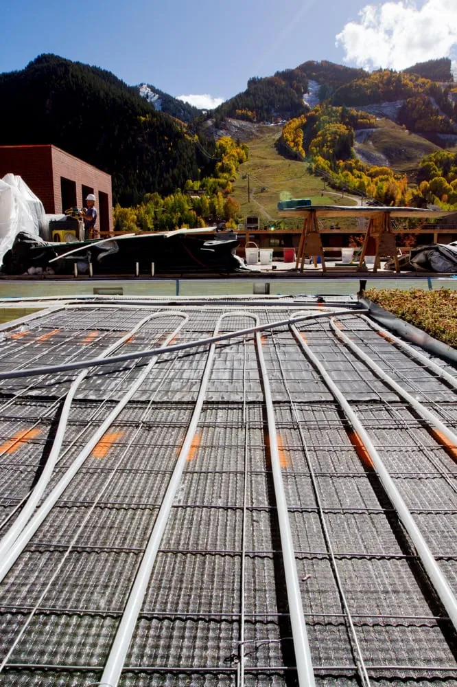 Slide of Young Services