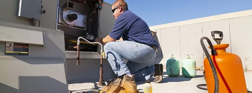 Slide of Young's Heating and Cooling