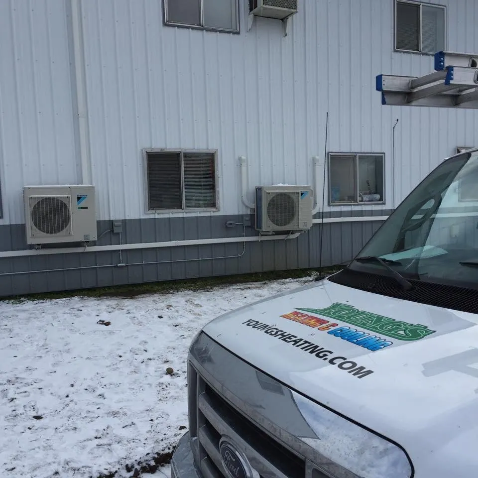 Slide of Young's Heating and Cooling