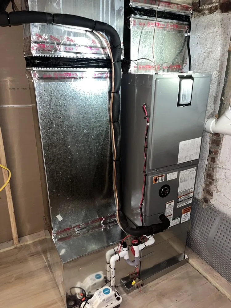 Slide of Young’s Mechanical