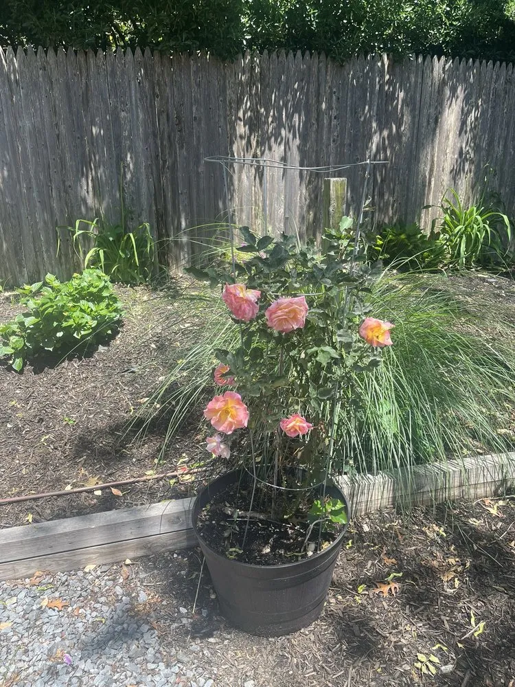 Slide of ZAX Plumbing