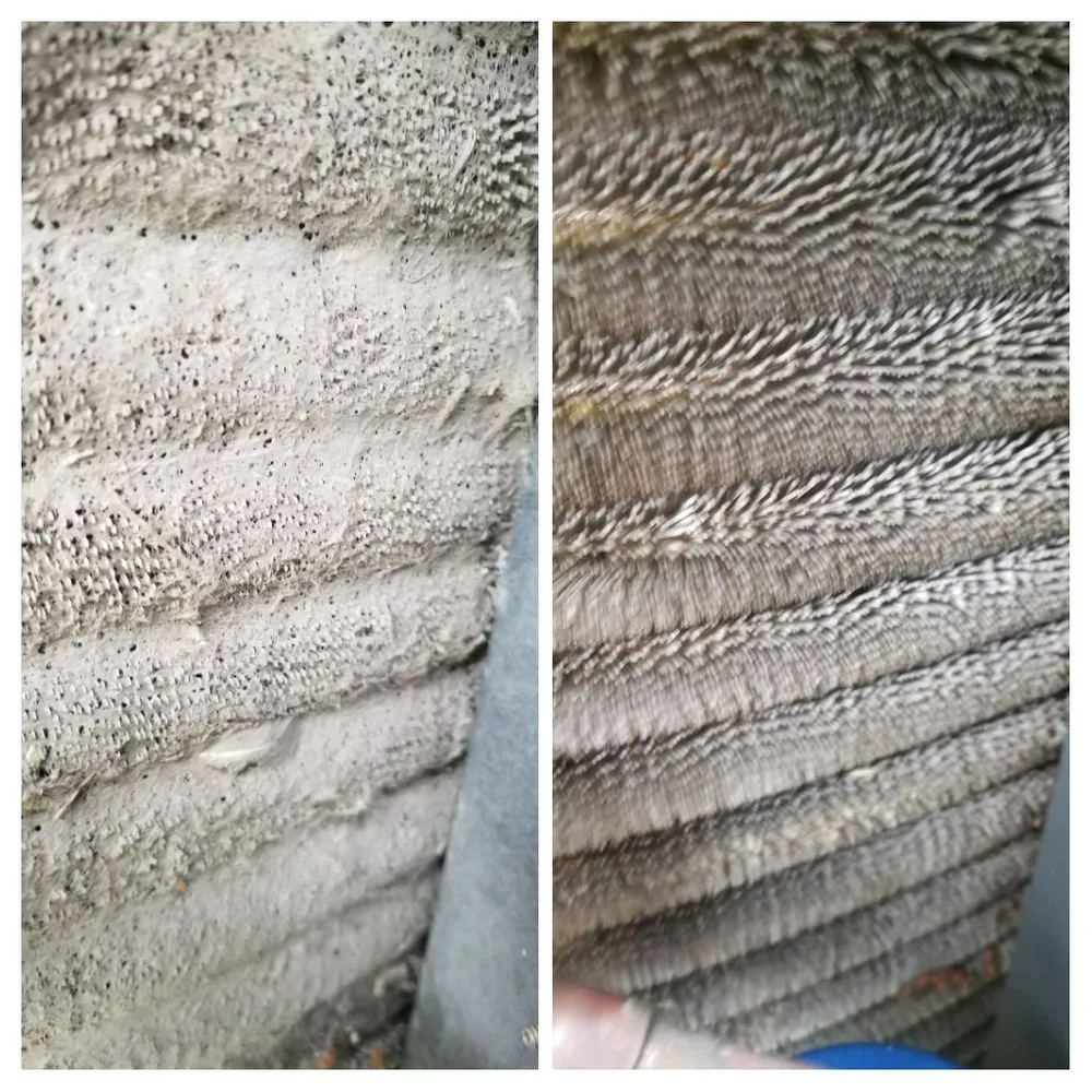 Slide of Zeal Comfort