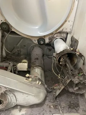 Zeus Appliance Services