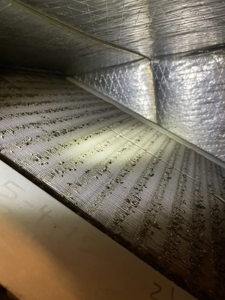 Slide of Ziggys Heating and Cooling