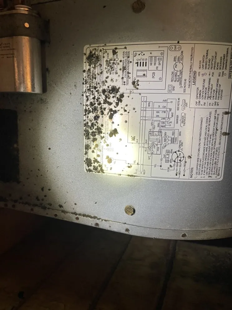 Slide of Ziggys Heating and Cooling